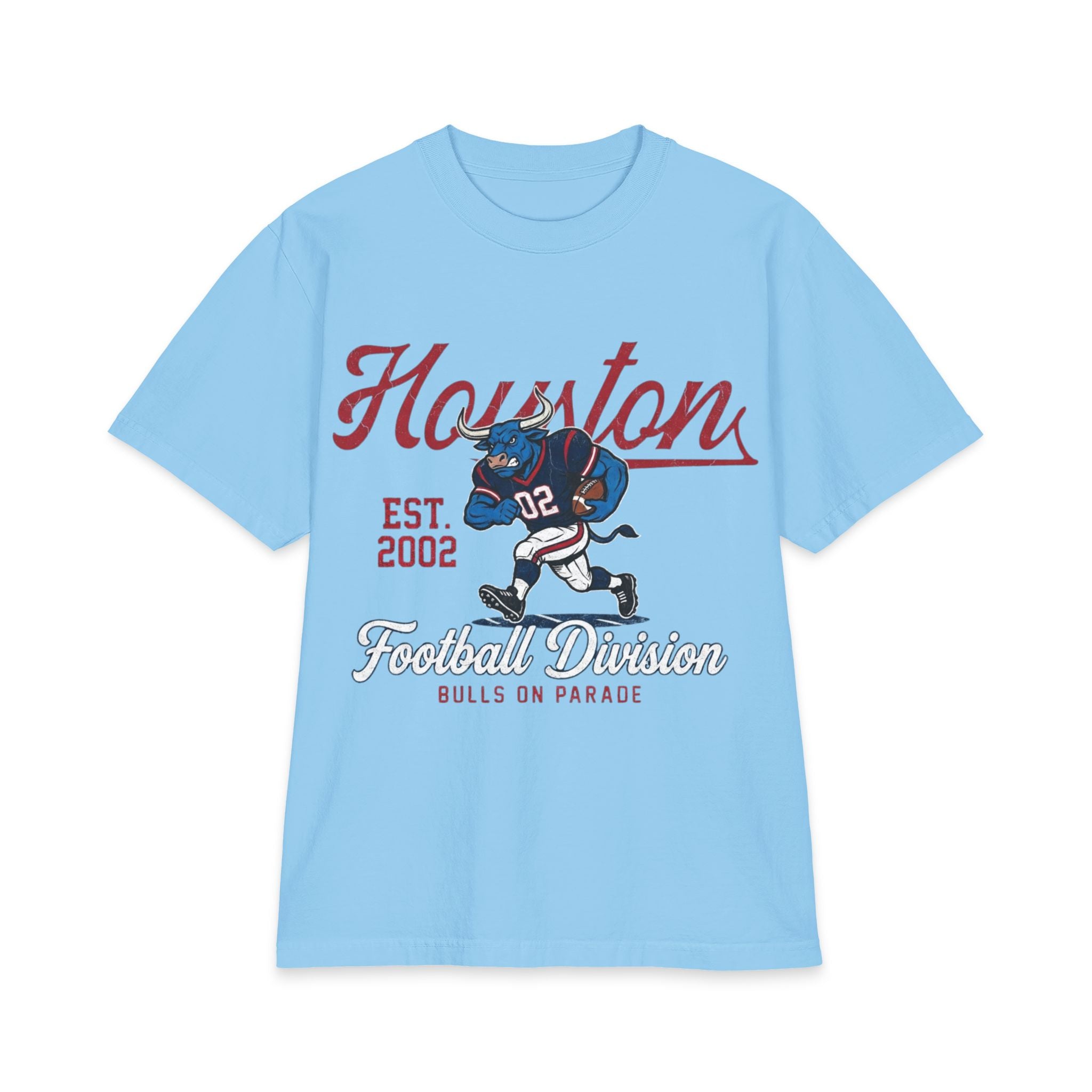 Football - Houston Division