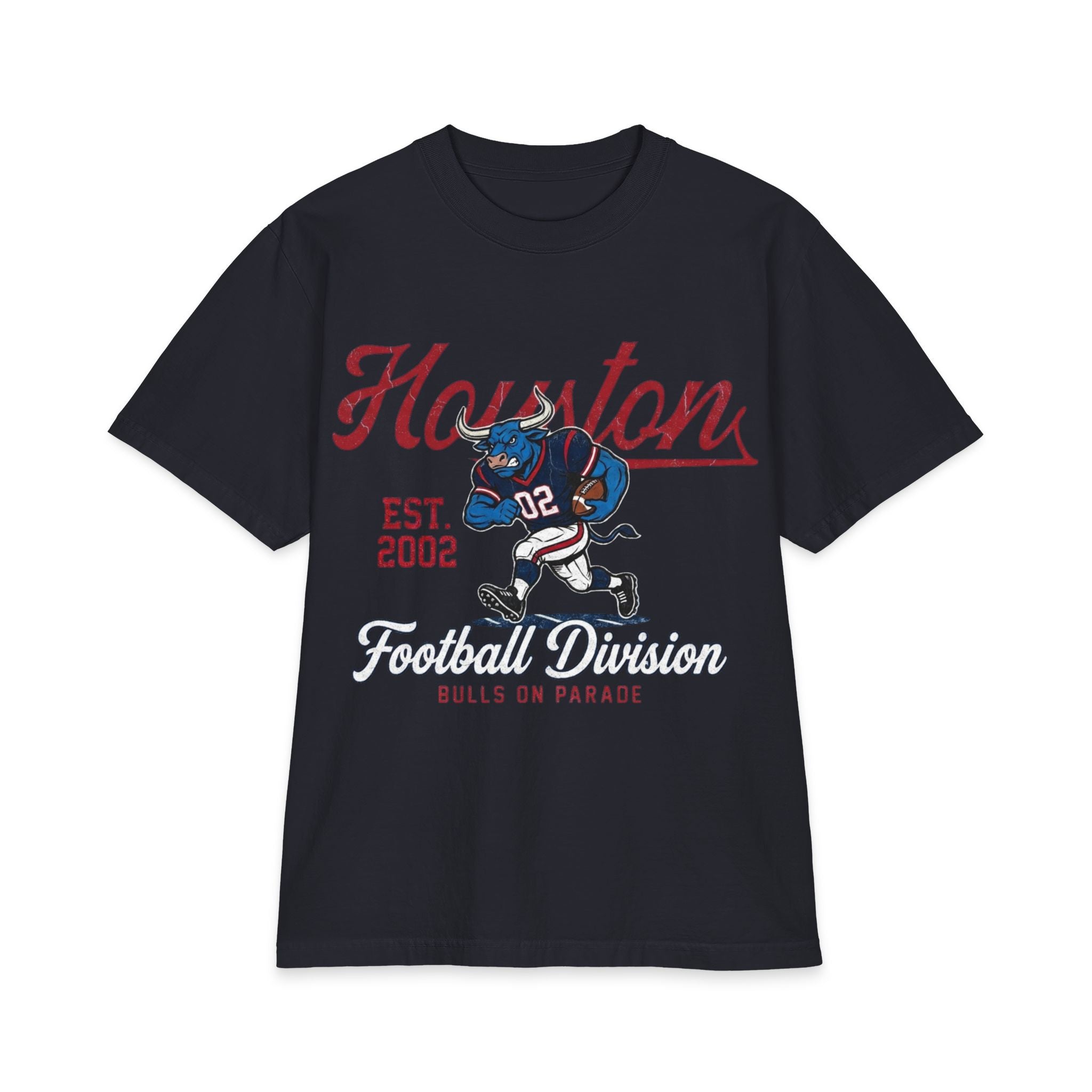 Football - Houston Division
