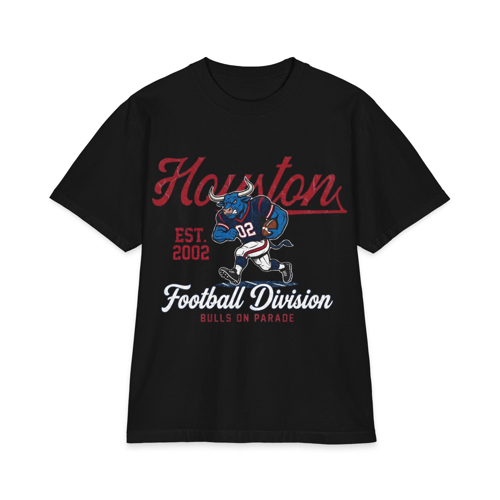 Football - Houston Division