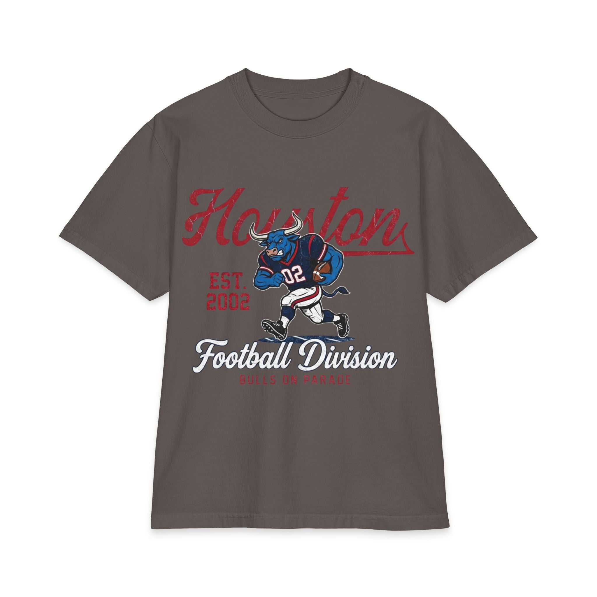 Football - Houston Division
